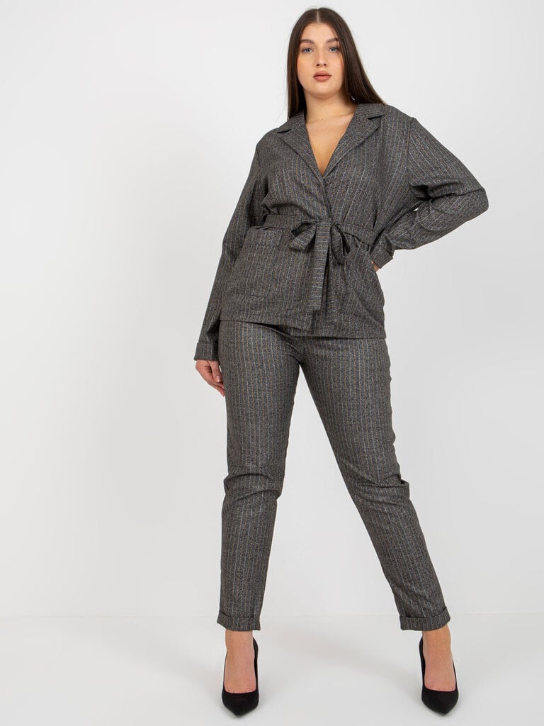Püksid, halli värvi hind ja info | Naiste püksid | kaup24.ee