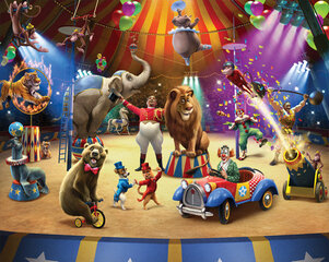 Цирк цена и информация | Детские фотообои | kaup24.ee