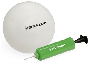 Võrkpallikomplekt Dunlop, 6x0.6 m цена и информация | Волейбольные сетки | kaup24.ee