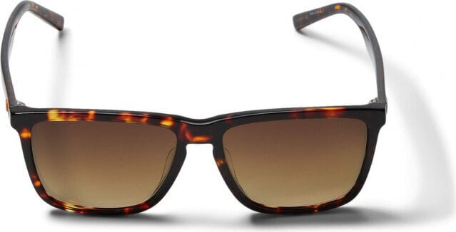 Meeste Päikeseprillid Guess GU00032-D Dark Havana hind ja info | Meeste päikeseprillid | kaup24.ee