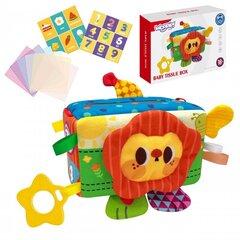 Woopie õppemänguasjakomplekt hind ja info | Imikute mänguasjad | kaup24.ee