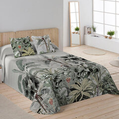 Voodikate Icehome Amazonia (250 x 260 cm) (Voodi 150/160 cm) hind ja info | Voodikatted, pleedid | kaup24.ee