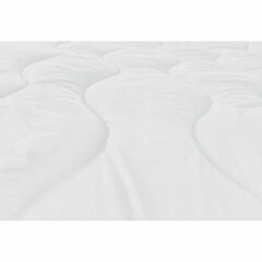 Одеяло Abeil, (240 x 260 см) цена и информация | Одеяла | kaup24.ee