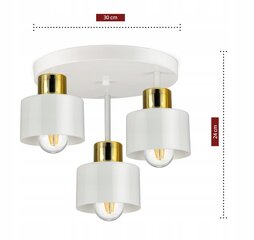 Ripplamp Luxolar 370 E27 цена и информация | Потолочный светильник, 38 x 38 x 24 см | kaup24.ee