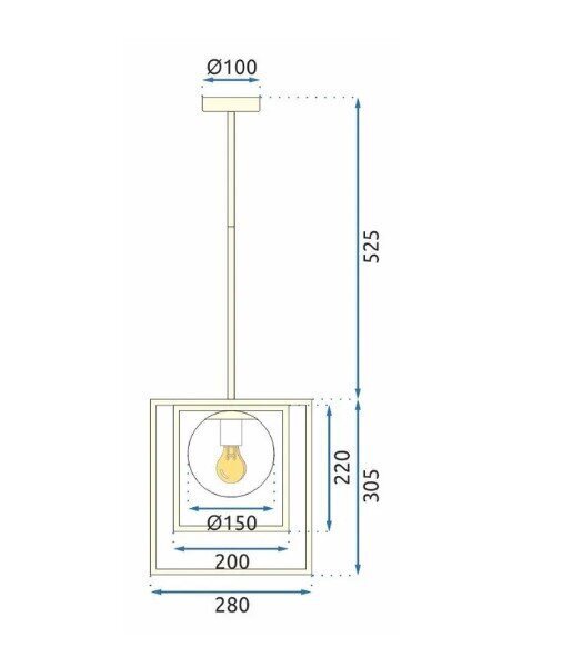 Tööriistavalgusti laelamp APP1215-1CP hind ja info | Rippvalgustid | kaup24.ee