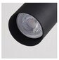 Tööriistavalgusti laelamp APP1242-6C цена и информация | Rippvalgustid | kaup24.ee