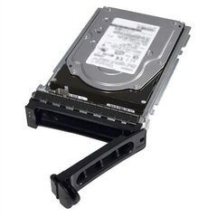 Dell 161-BBRX цена и информация | Внутренние жёсткие диски (HDD, SSD, Hybrid) | kaup24.ee