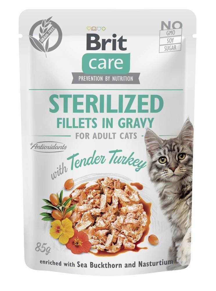 Brit Care Fillets in Gravy täiskasvanud steriliseeritud kassidele kalkunilihaga, 24x85g цена и информация | Konservid kassidele | kaup24.ee