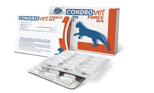 Lisand kassidele Bioiberica Condrovet Forse Ha, 45 kaps. hind ja info | Vitamiinid, toidulisandid ja parasiitide vastased tooted | kaup24.ee