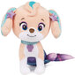 Pehme mänguasi Paw Patrol Coral Aqua Pups Mermaid Dog, 18 cm цена и информация | Pehmed mänguasjad | kaup24.ee