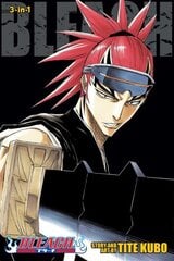 Bleach, Vol. 4: Includes Volumes 10, 11 & 12, 3-in-1 Edition hind ja info | Fantaasia, müstika | kaup24.ee