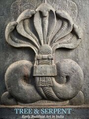 Tree & Serpent: Early Buddhist Art in India hind ja info | Kunstiraamatud | kaup24.ee