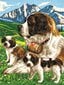 Maalimine numbrite järgi Sequin Art Bernhardiini koerad цена и информация | Maalid numbri järgi | kaup24.ee