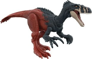 Figuur Dinosaurus Jurassic World Wild Roar Megaraptor koos heliga цена и информация | Игрушки для мальчиков | kaup24.ee