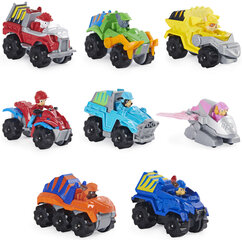 Komplekt Paw Patrol Dino Rescue True Metal 8 sõiduki kinkekomplekt hind ja info | Poiste mänguasjad | kaup24.ee