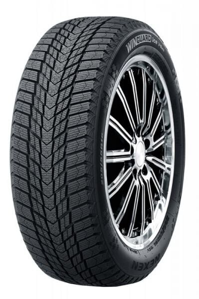 Nexen WG Ice Plus WH43 225/50R17 98T XL цена и информация | Talverehvid | kaup24.ee