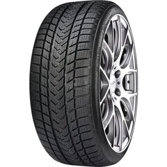 GRIPMAX Suregrip Pro Winter 285/35R22 106V XL цена и информация | Зимние шины | kaup24.ee