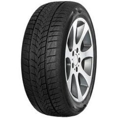 IMPERIAL SnowDragon UHP 255/35R18 94V XL цена и информация | Зимняя резина | kaup24.ee