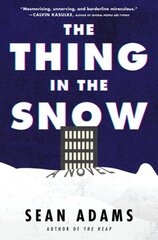 Thing in the Snow: A Novel цена и информация | Фантастика, фэнтези | kaup24.ee