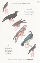 Raptor: A Journey Through Birds hind ja info | Tervislik eluviis ja toitumine | kaup24.ee