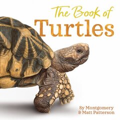 Book of Turtles цена и информация | Книги для малышей | kaup24.ee