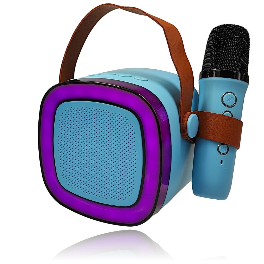 Bluetooth Karaoke kõlar koos mikrofoniga цена и информация | Kõlarid | kaup24.ee