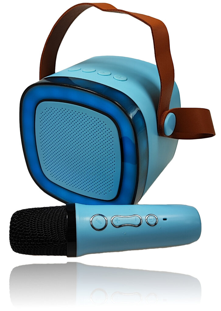 Bluetooth Karaoke kõlar koos mikrofoniga hind ja info | Kõlarid | kaup24.ee