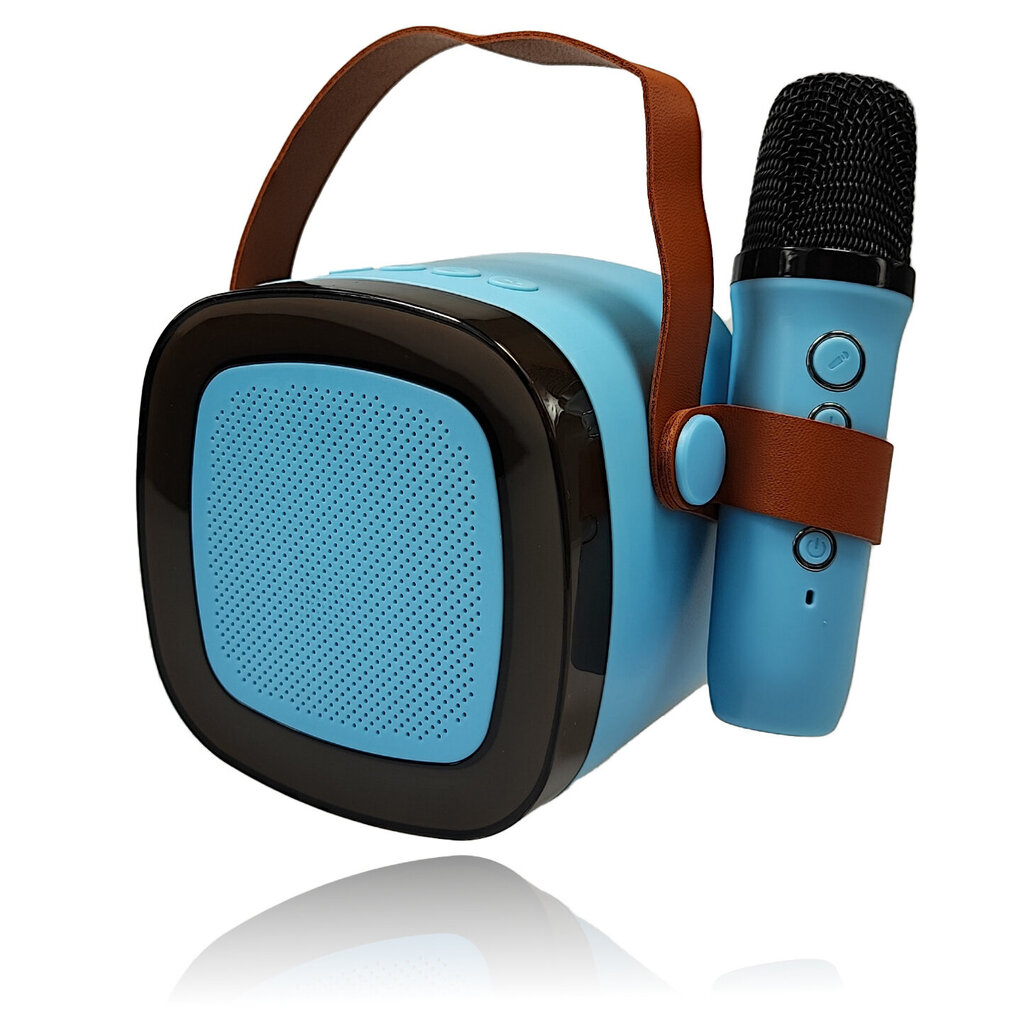 Bluetooth Karaoke kõlar koos mikrofoniga hind ja info | Kõlarid | kaup24.ee