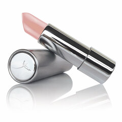 Skinicer Lipstick Coral Pink цена и информация | Помады, бальзамы, блеск для губ | kaup24.ee