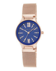 Женские часы Anne Klein AK/2418CBRG цена и информация | Женские часы | kaup24.ee