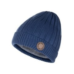 Детская шапка Lenne Rema 23389 B*670, синяя, 4741593446818 цена и информация | Шапки, перчатки, шарфы для мальчиков | kaup24.ee