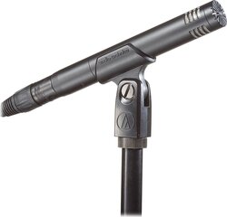 Kondensaator mikrofon Audio Technica AT2031 цена и информация | Микрофоны | kaup24.ee