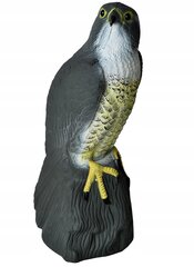 Отпугиватель птиц Ястреб цена и информация | Средства защиты от кротов, грызунов | kaup24.ee