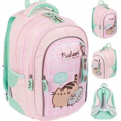 Школьный рюкзак с пеналом - принцесса, розовый цена и информация | Школьные рюкзаки, спортивные сумки | kaup24.ee