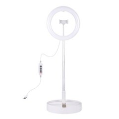 LED rõngaslamp 26cm, alusega kuni 138cm, telefonihoidjaga, USB цена и информация | Осветительное оборудование для фотосъемок | kaup24.ee