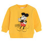 Cool Club pusa poistele Mickey Mouse LCB2700378 hind ja info | Poiste kampsunid, vestid ja jakid | kaup24.ee