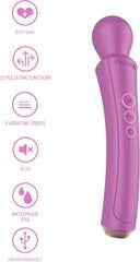 Masturbaator The Curved Wand hind ja info | Sekslelud, masturbaatorid | kaup24.ee