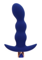 Vibreeriv anaaltapp The Risque Buttplug, sinine hind ja info | Anaallelud | kaup24.ee