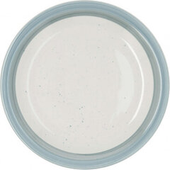 Плоская тарелка Quid Allegra Aqua Керамика Двухцветный (Ø 27 cm) (12 штук) цена и информация | Посуда, тарелки, обеденные сервизы | kaup24.ee