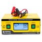 Mikroprotsessor akulaadija Powermat 6V-24V PM-PM-60B hind ja info | Auto akulaadijad | kaup24.ee