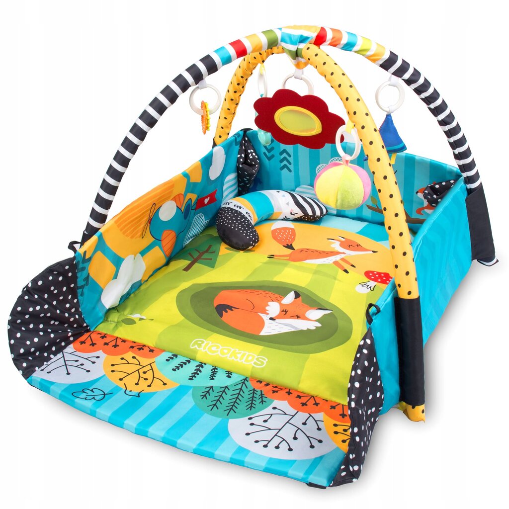 Interaktiivne õppematt 110x100cm Ricokids 7317 цена и информация | Tegelustekid | kaup24.ee