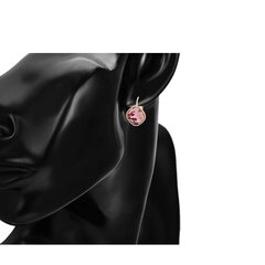 Elegantsed Swarovski kristallidega sädelevad kõrvarõngad hind ja info | Kõrvarõngad | kaup24.ee