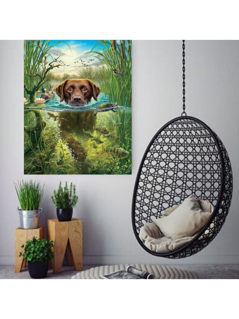 Maalid numbrite järgi "Jões ujuv koer" G 40x50 hind ja info | Maalid numbri järgi | kaup24.ee