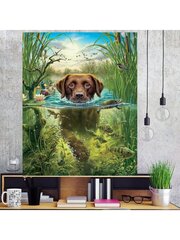 Картины по номерам "Собака, купающаяся в реке" 40x50 цена и информация | Живопись по номерам | kaup24.ee