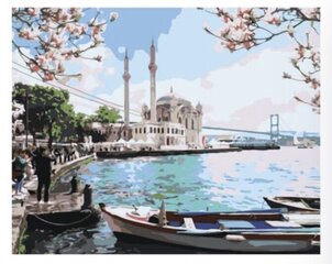 Maalid numbrite järgi "Istanbul" 40x50 hind ja info | Maalid numbri järgi | kaup24.ee