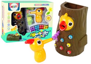 Magnetiline mäng, Püüa uss ja toida lindu hind ja info | Arendavad mänguasjad | kaup24.ee