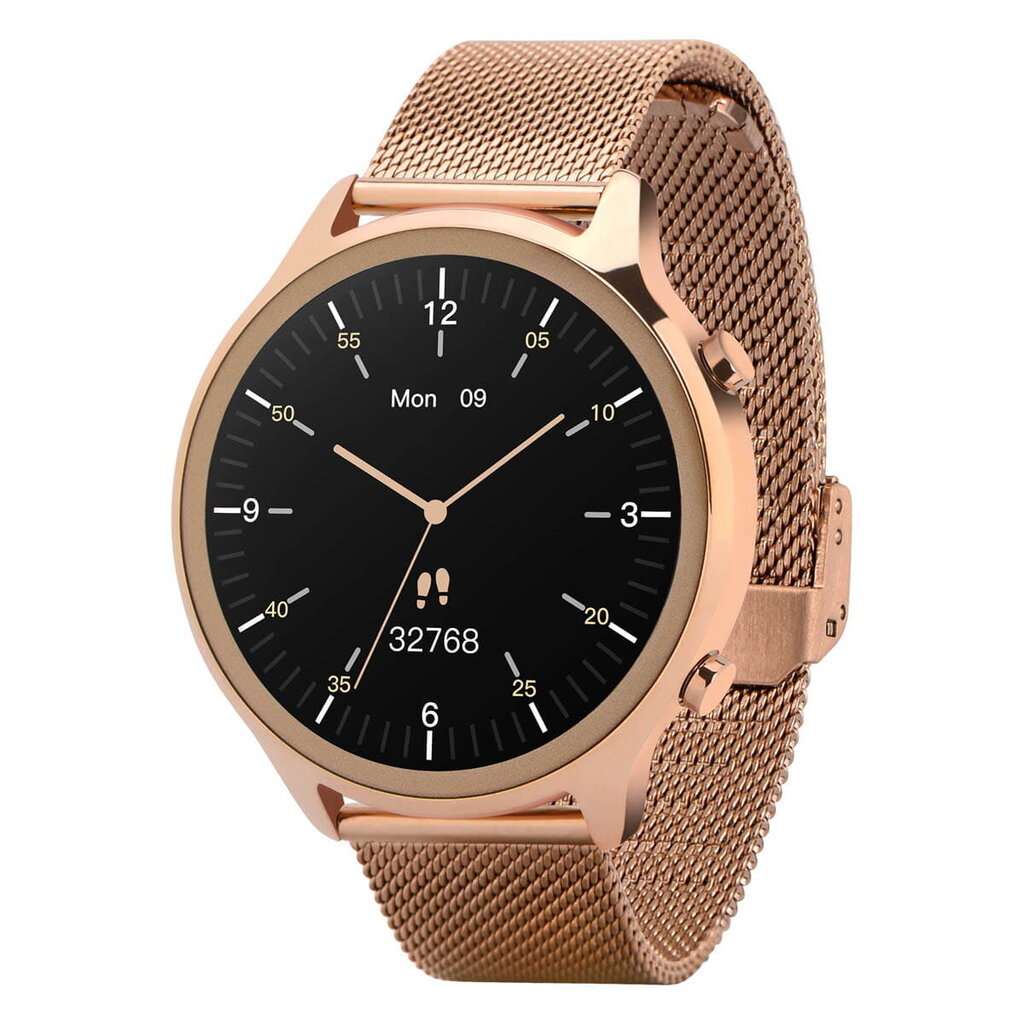 Garett Electronics Veronica Gold Steel цена и информация | Nutikellad (smartwatch) | kaup24.ee