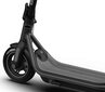 Segway elektriline tõukeratas Ninebot F65I, 25 km/h цена и информация | Elektritõukerattad | kaup24.ee