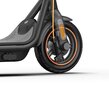 Segway elektriline tõukeratas Ninebot F65I, 25 km/h цена и информация | Elektritõukerattad | kaup24.ee