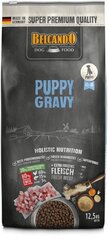 Belcando Puppy Gravy kuivtoit kutsikatele 1-4 kuu, linnuga, 12,5 kg цена и информация | Сухой корм для собак | kaup24.ee